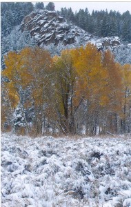 Winter wonderland in the Tetons